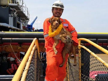 Rescatan a un perro que naufragó