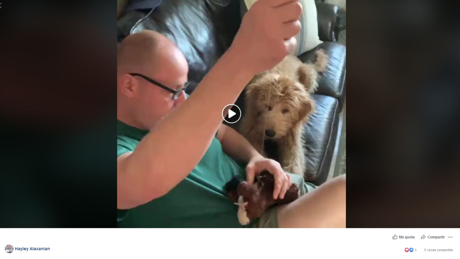 Un preocupado perro mira preocupado como 'operan' a su juguete favorito