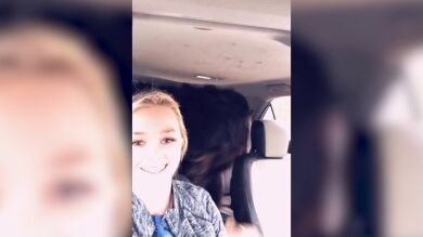 VÍDEO: Llevó a su perro al peluquero y no puede parar de reír cuando lo recoge