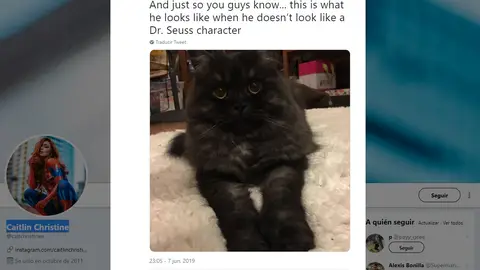 Oliver antes del corte de pelo Oliver antes del corte de pelo