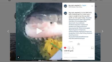 Un tiburón intenta devorar a unos pescadores en Nueva Jersey