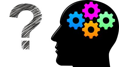 Cada persona tiene uno de estos tipos de personalidad PBPA ¿Cuál es el tuyo?