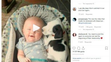 El vídeo protagonizado por un bebé y su perro que te dará 200 años de vida