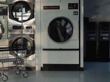 Un gato en una lavadora