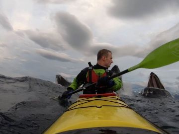 Ballenas sorprenden a kayakista