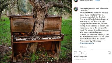 20 veces que la naturaleza gano la batalla a la civilización