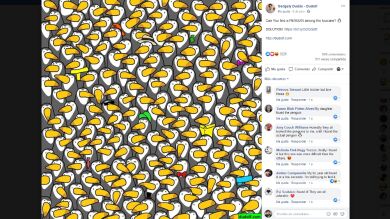 ¿Puedes encontrar al pingüino entre los tucanes? 8 retos visuales imposibles de resolver