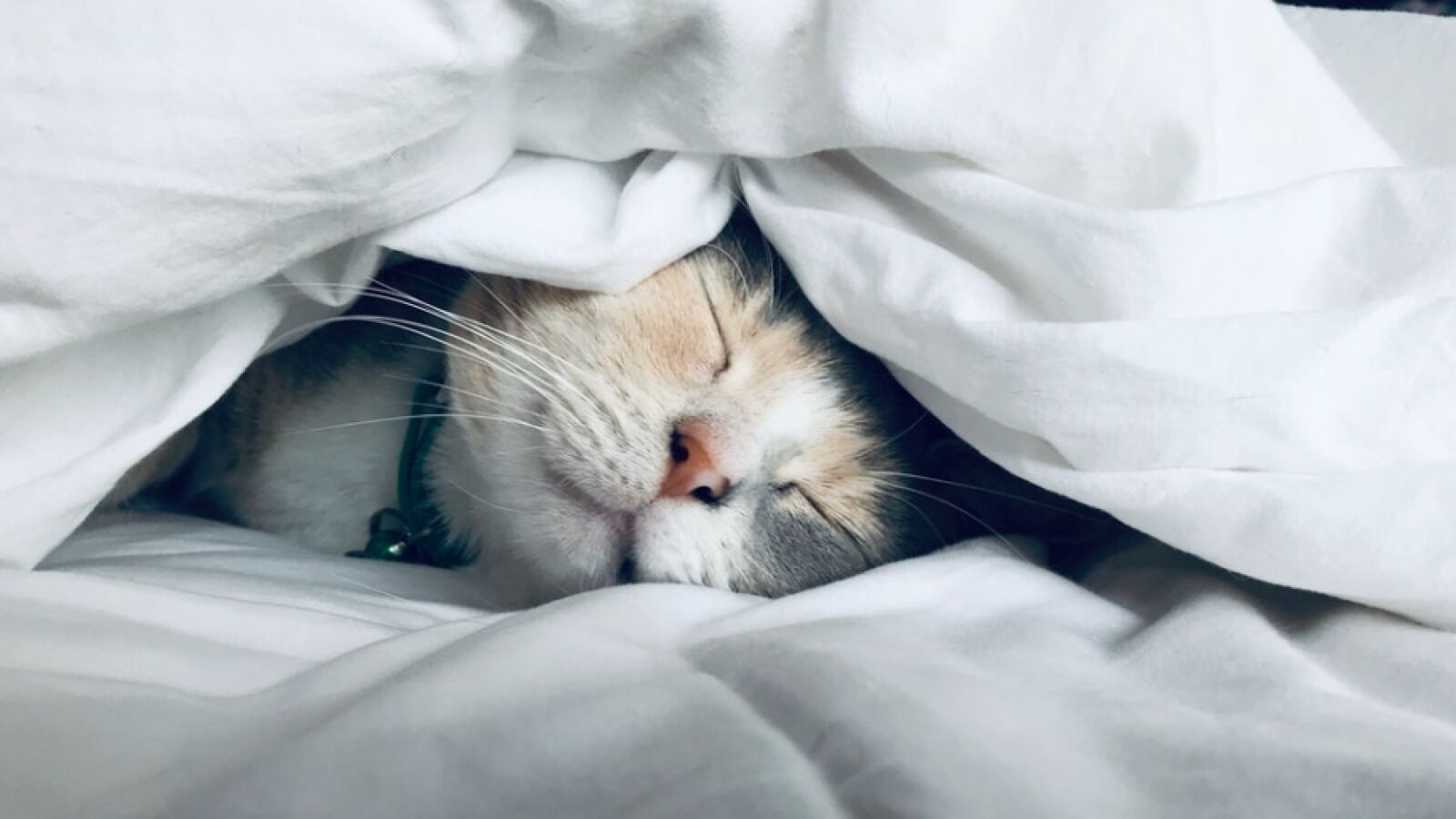 ¿Masturbarte o dormir la siesta? La ciencia te responde