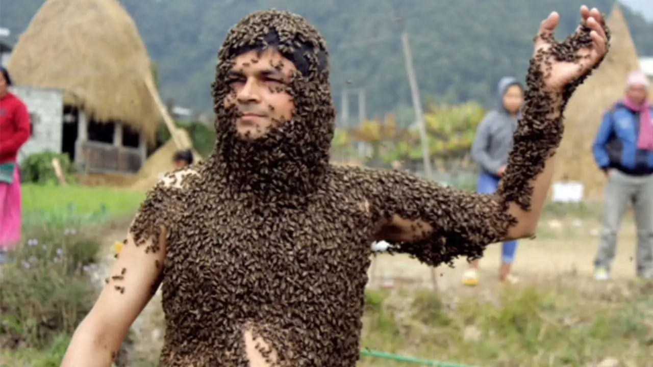 Cubierto de abejas