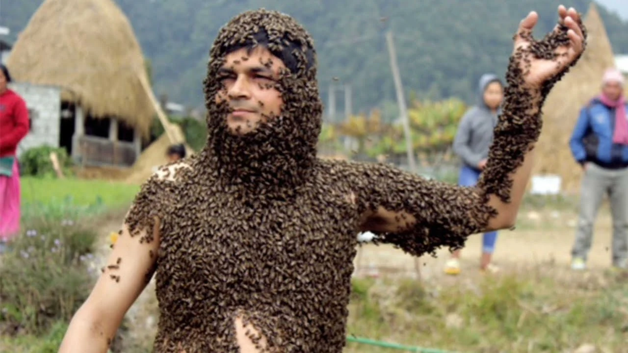 Cubierto de abejas Cubierto de abejas