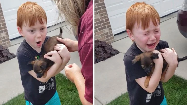 Niño recibe un perro