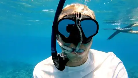 Pulpo se esconde en la boca de un buceador Pulpo se esconde en la boca de un buceador