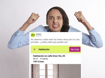 Twitter de @elzulista