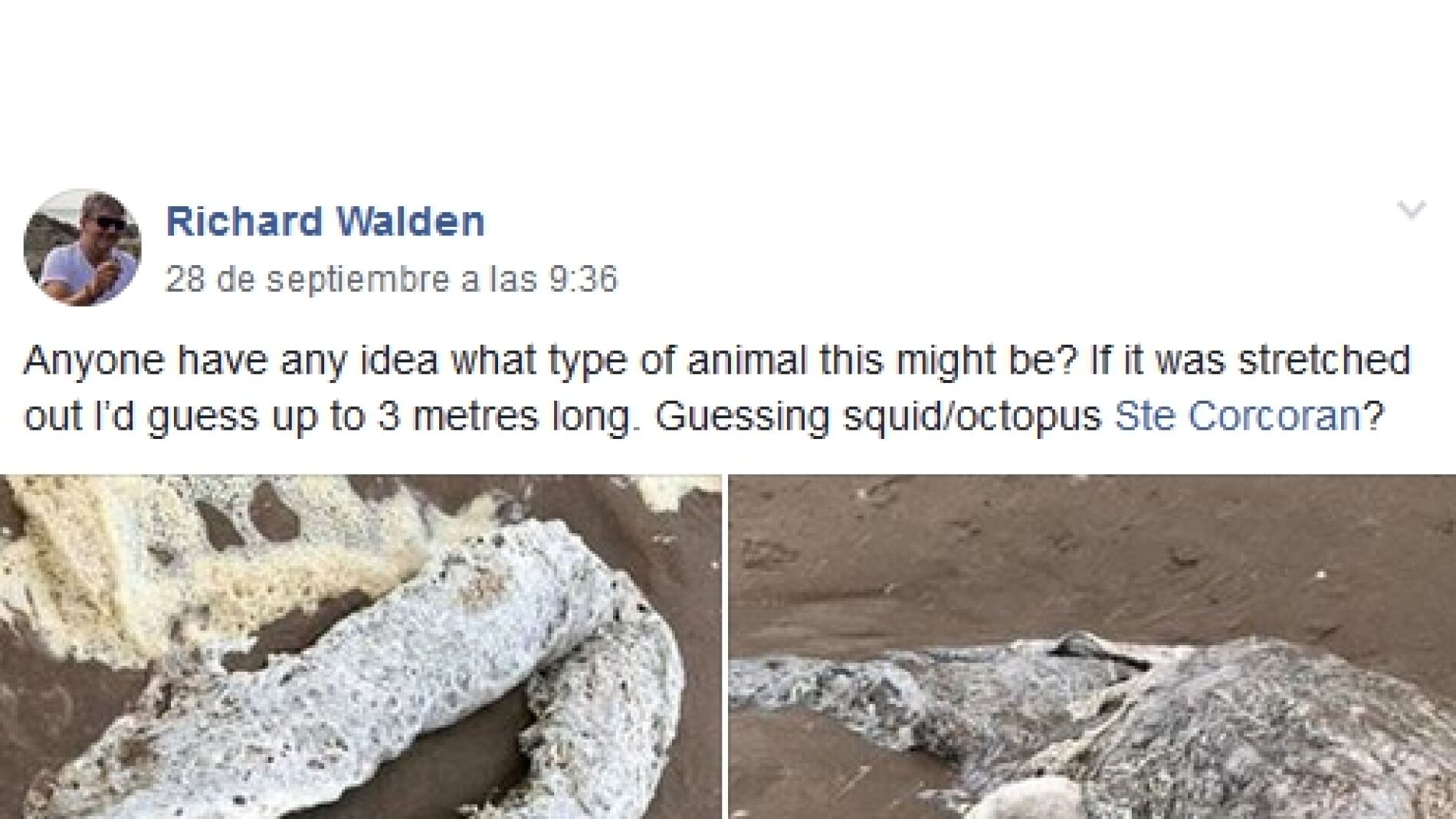 Facebook de Richard Walden