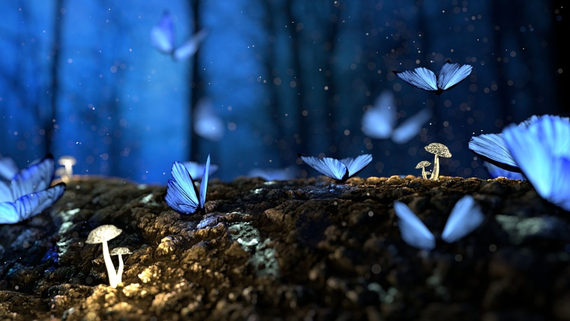Mariposas