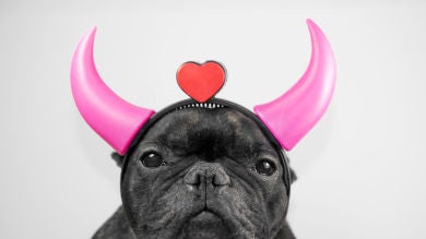 San Valentín: consejos para poner los cuernos a tu pareja sin que se entere