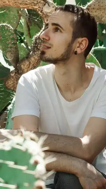 Tigrillo posando. Tigrillo posando.