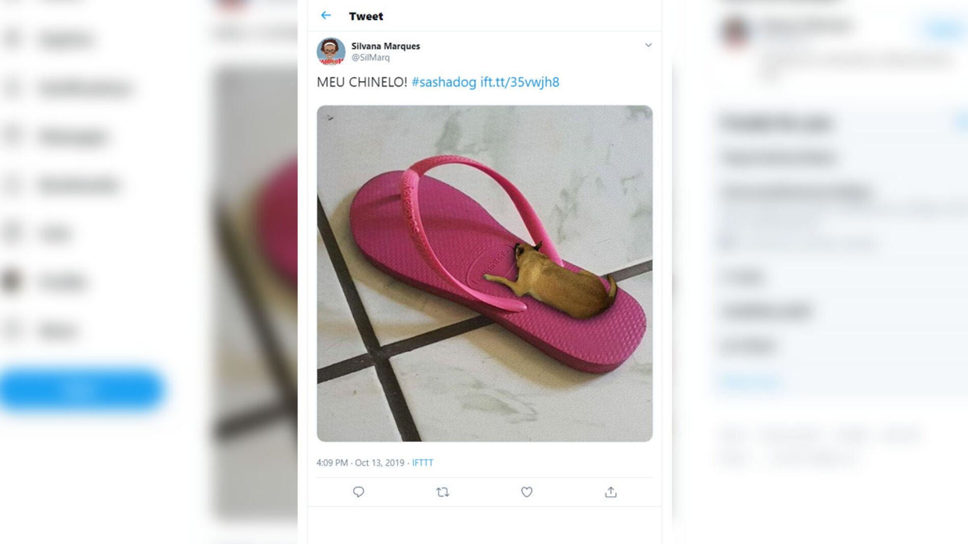 La broma viral del perro