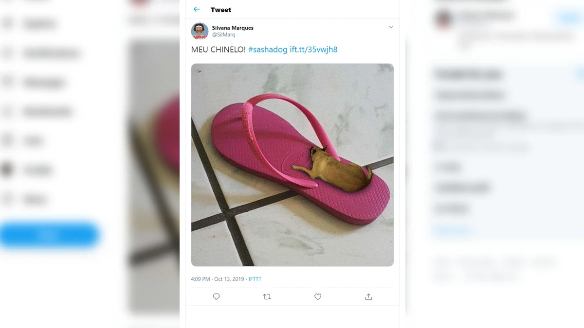 La broma viral del perro