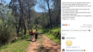 ¿Eres capaz de encontrar al invitado mortal escondido en estas 8 fotos?