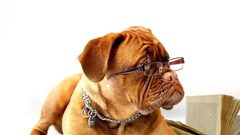Mejor con gafas Mejor con gafas