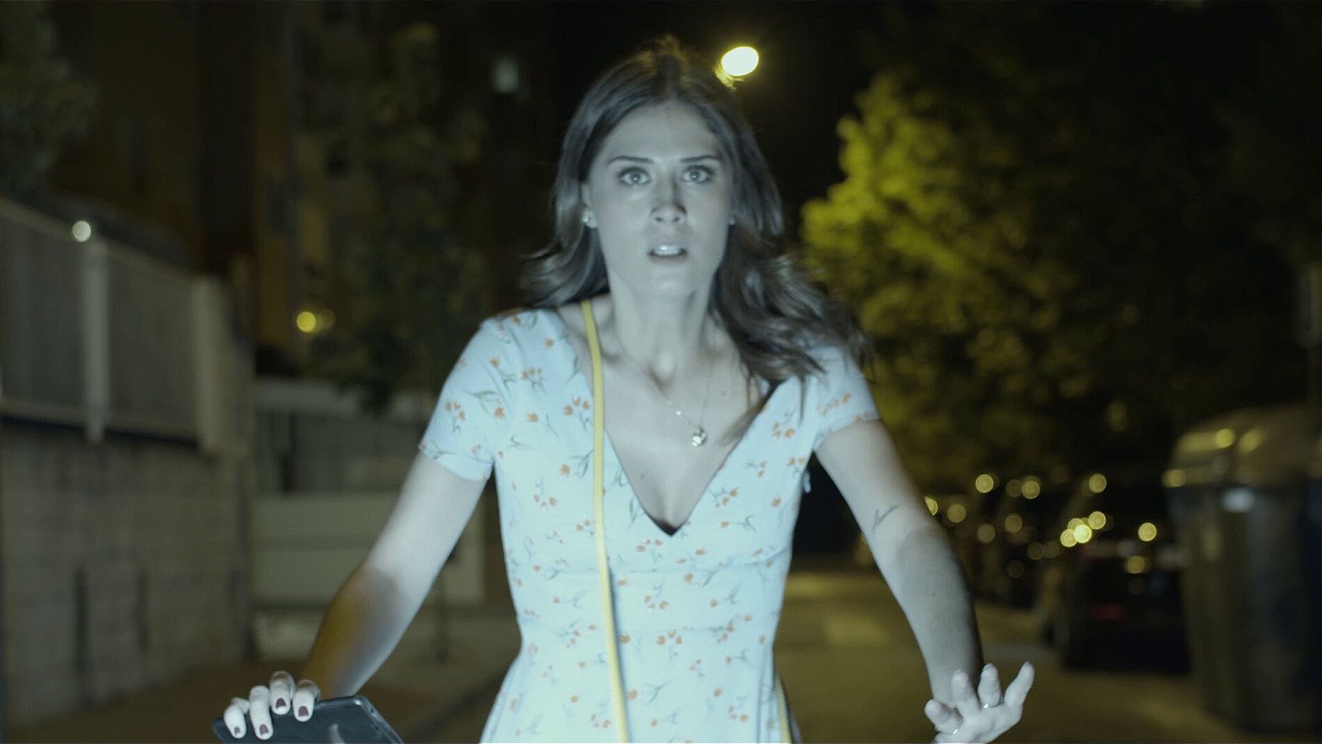 Nunca vuelvas solo a casa