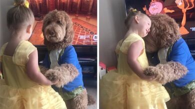 VÍDEO: Una niña y su perro enamoran a todo el mundo bailando disfrazados de 