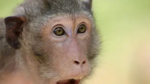 Cuando te cuentan algo que no te esperas... Cuando te cuentan algo que no te esperas...