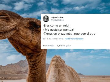 Los mejores tuits de @miguelcaine