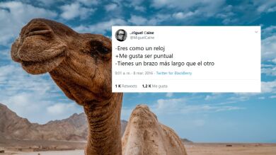 La vida según Miguel Caine: 30 brutales tuits de humor