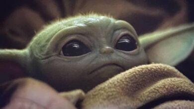 VÍDEO: Un adorable gatito se vuelve viral por su parecido con Baby Yoda