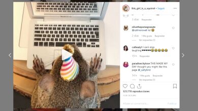 Una ardilla que fue rescatada durante un huracán no puede dormir sin su osito de peluche