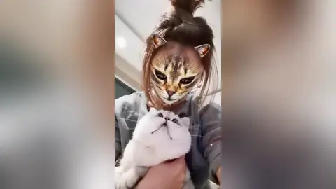 VÍDEO: Estos gatos flipan con el filtro que convierte a sus amos en felinos VÍDEO: Estos gatos flipan con el filtro que convierte a sus amos en felinos