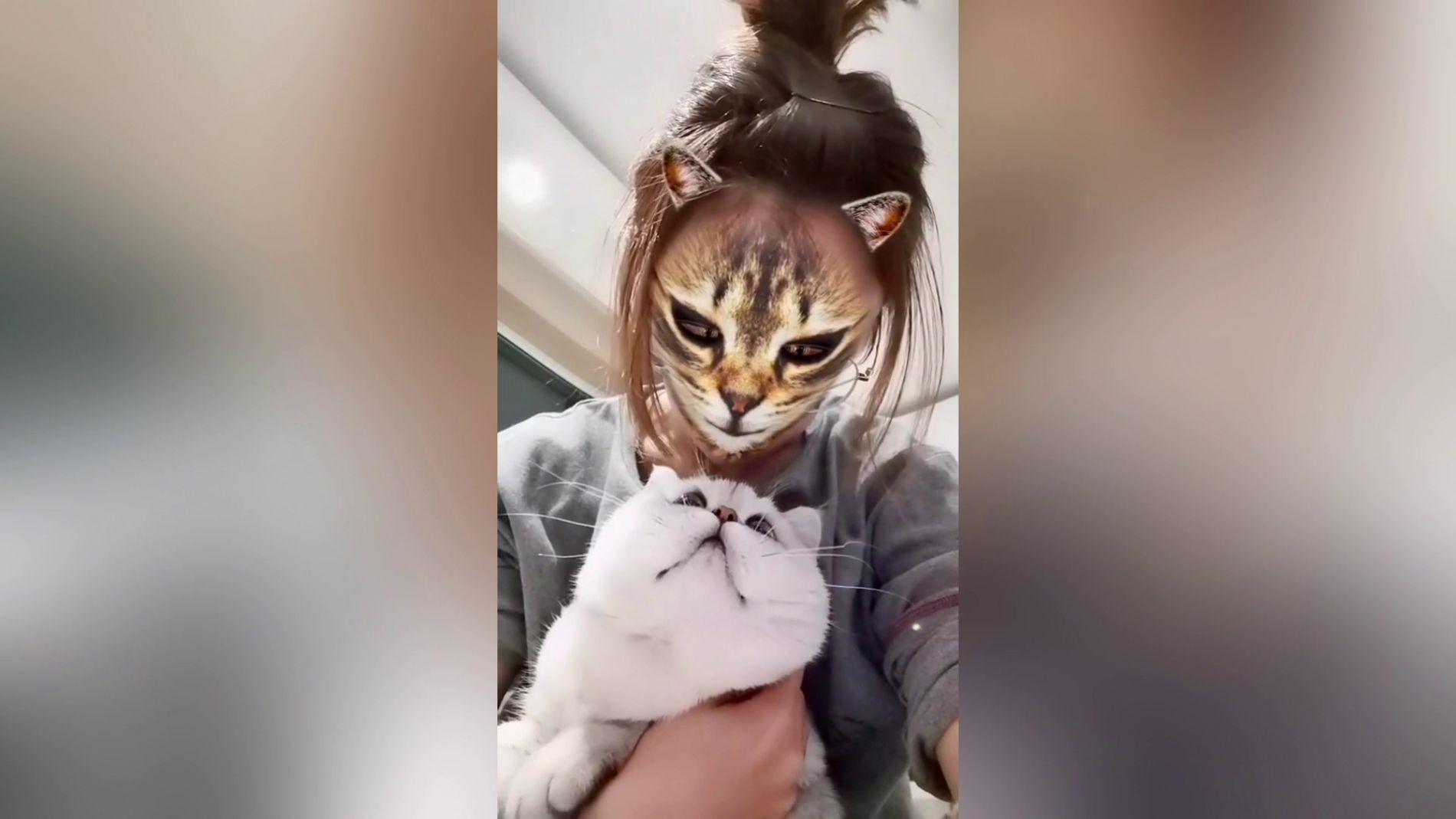 V&Iacute;DEO: Estos gatos flipan con el filtro que convierte a sus amos en felinos