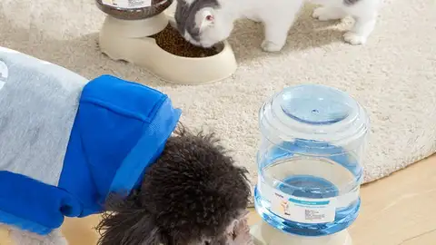 Dispensador de agua y comida Dispensador de agua y comida