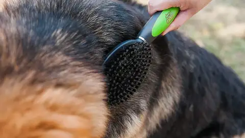Peines para mascotas Peines para mascotas