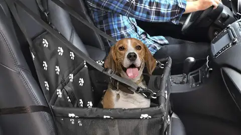 Asiento de seguridad para mascotas Asiento de seguridad para mascotas