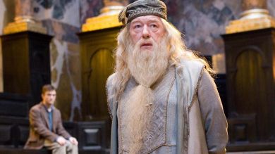 Aprobado general: el mensaje de Dumbledore para los muggles que no van a clase