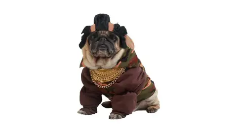 Disfraz de Mr T para bulldog Disfraz de Mr T para bulldog