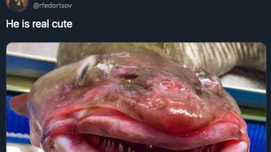 Los monstruos más horribles de Twitter los tiene un pescador ruso