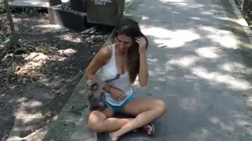 Mono tocando a una turista