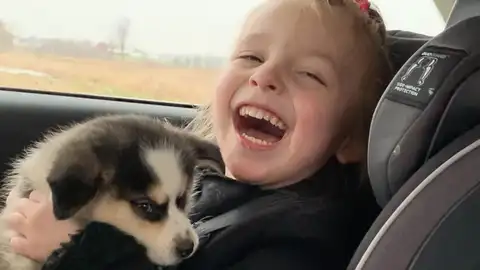 Niña con parálisis cerebral recibe un perro Niña con parálisis cerebral recibe un perro