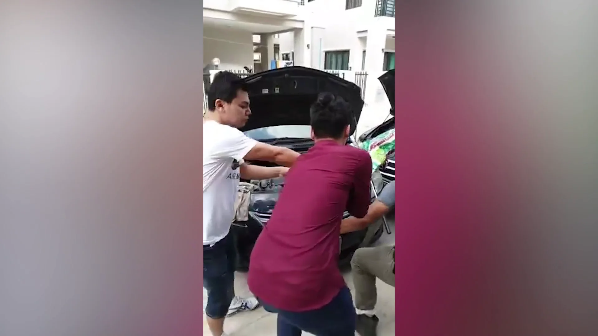 Encuentran un lagarto en el motor