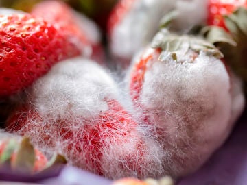 Fresas con pelo Fresas con pelo