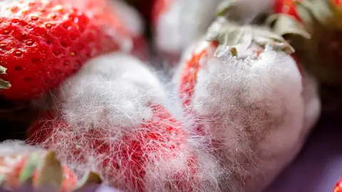 Fresas con pelo Fresas con pelo