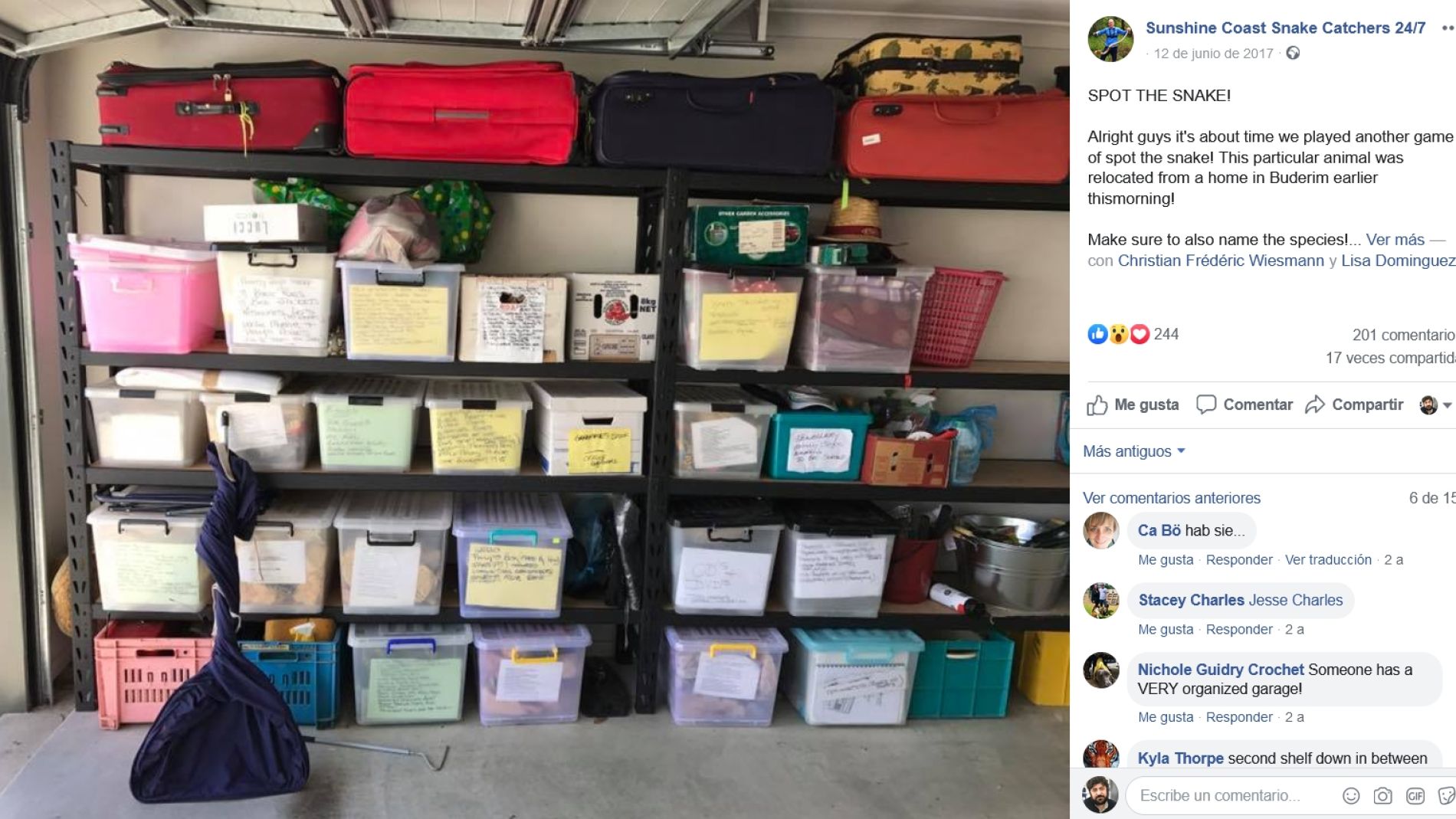 Serpiente escondida en el garaje