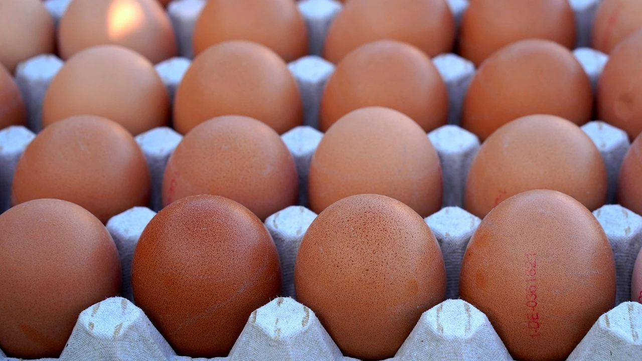 Caja de huevos