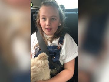 Recibe un perro por sorpresa