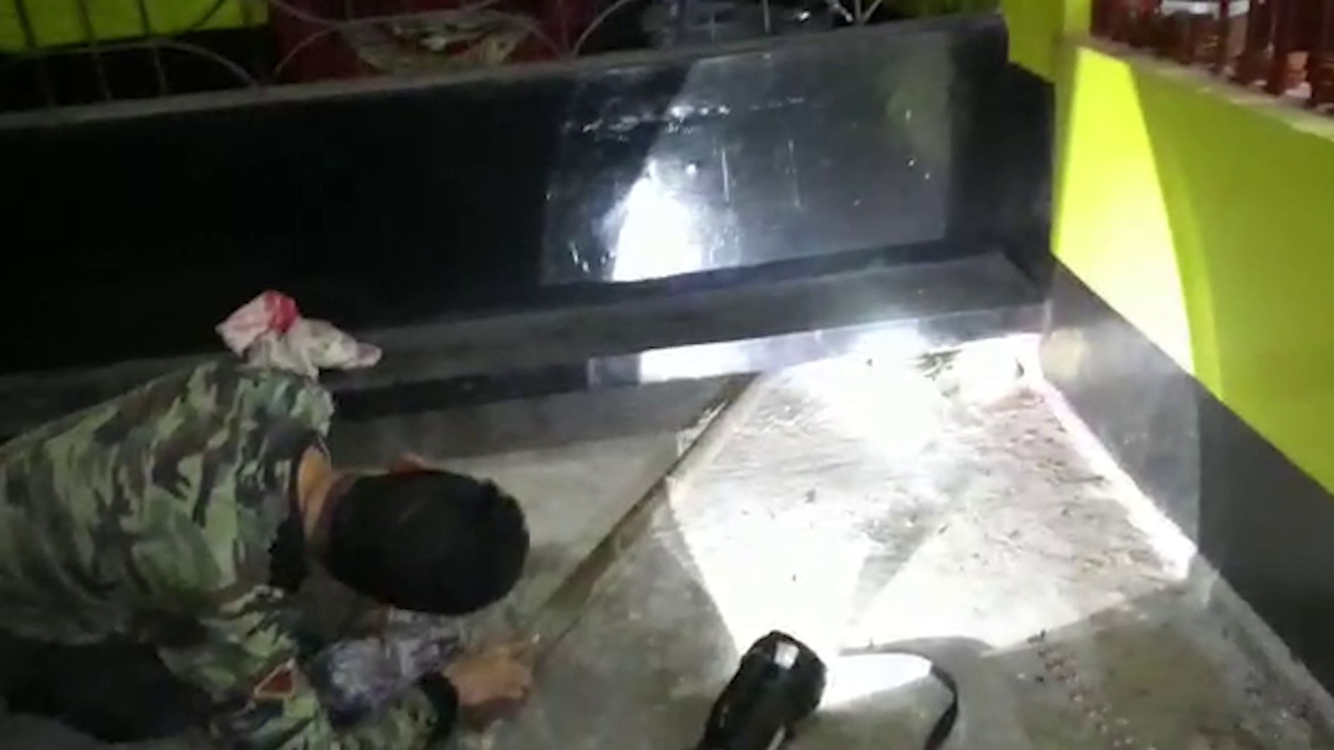 Serpiente en la India