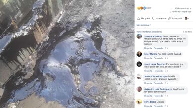 Rescatan a esta perra cubierta de brea y las fotos de su recuperación son emocionantes